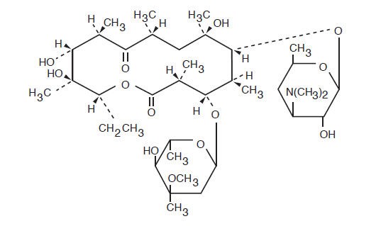 Pill image for Erythromycin Tablets, Usp