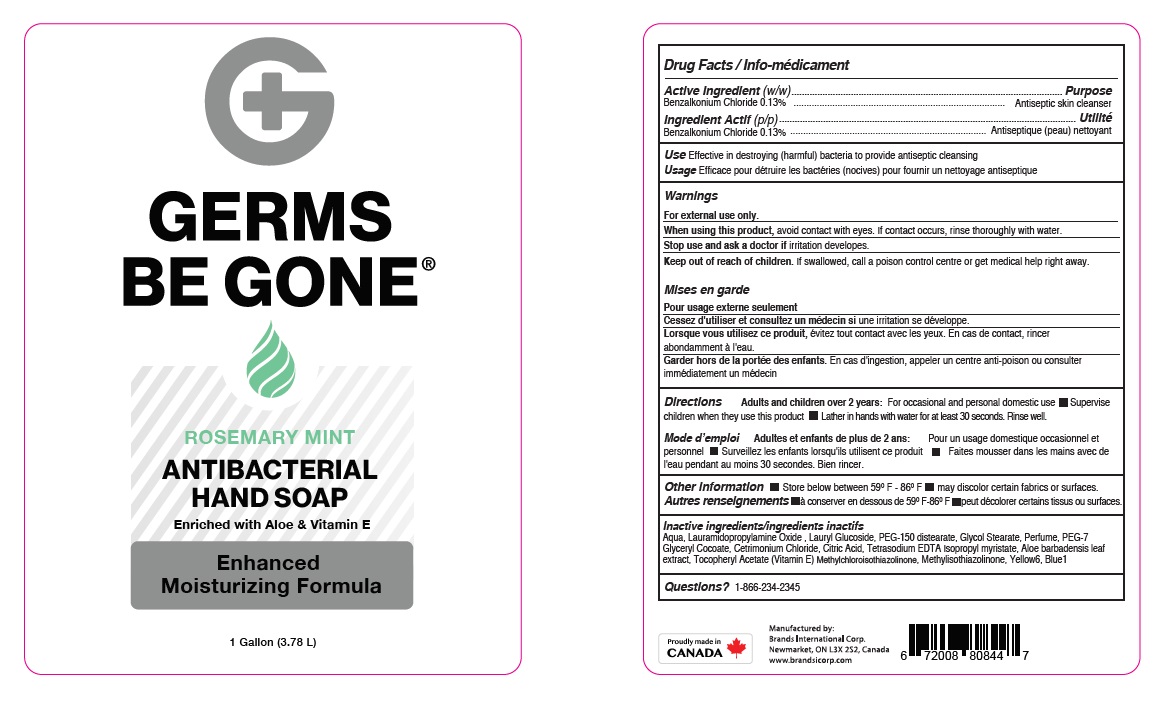 Pill image for Germs Be Gone Antibacterial Hand Soap - Rosemary Mint