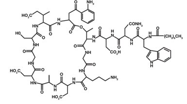 Pill image for These Highlights Do Not Include All The Information Needed To Use Daptomycin For Injection