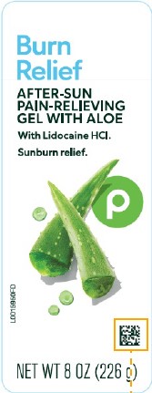 Pill image for Publix 005.003/005ae