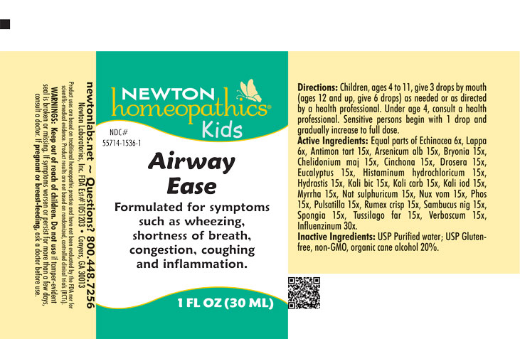 Pill image for Airway 1536l