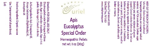 Pill image for Apis Eucalyptus Special Order