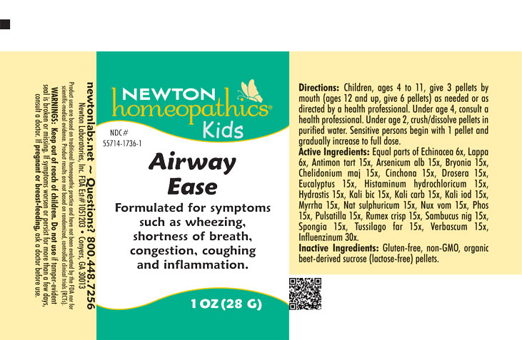 Pill image for Airway 1736p