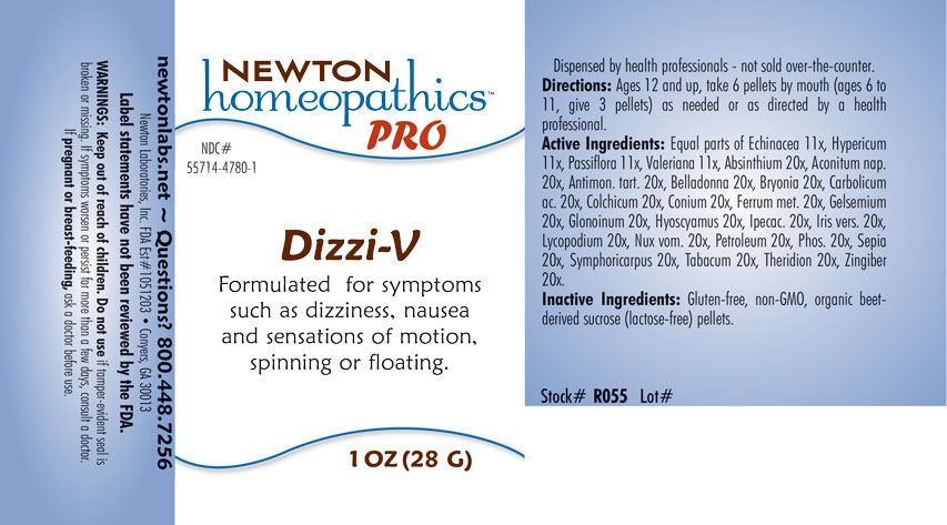 Pill image for Dizzi-v 4780p