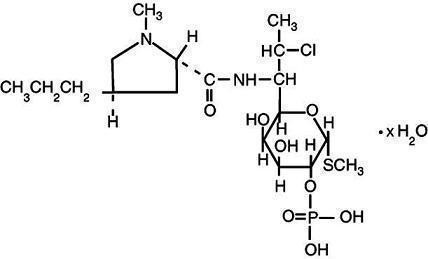 Pill image for Clindamycin Phosphate Vaginal Cream Usp, 2%