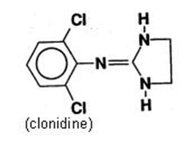 Pill image for Clonidine Transdermal System, Usp
