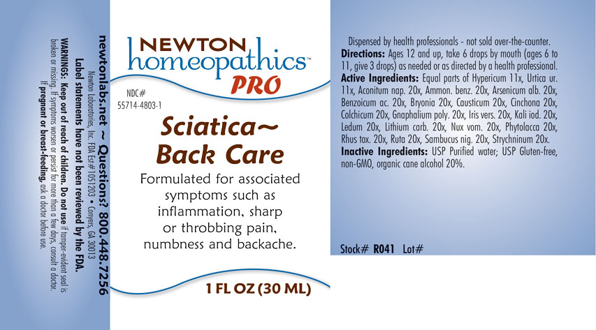Pill image for Sciatica 4803l
