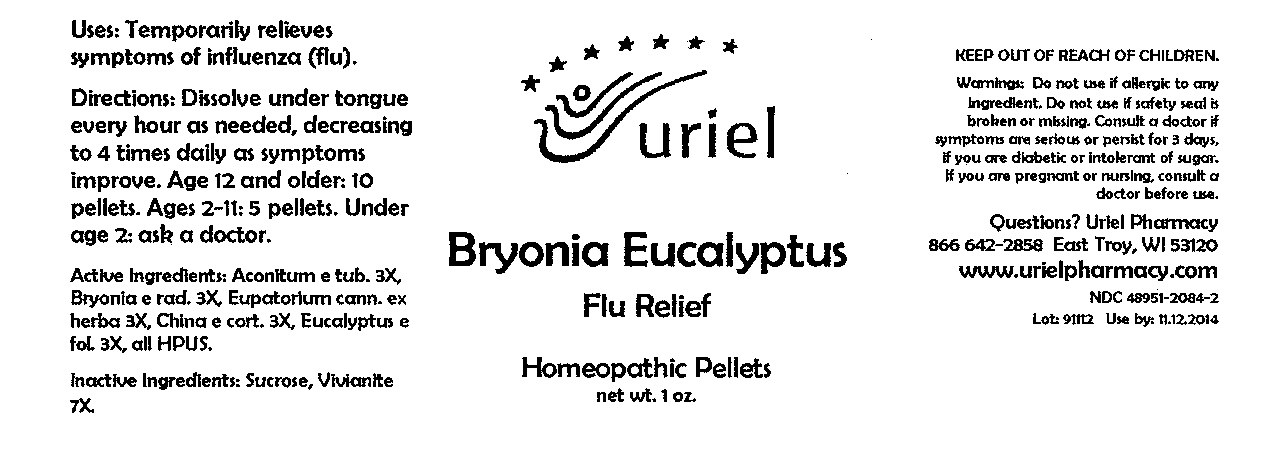 Pill image for Bryonia Eucalyptus Flu Relief Pellets - 1 Oz.