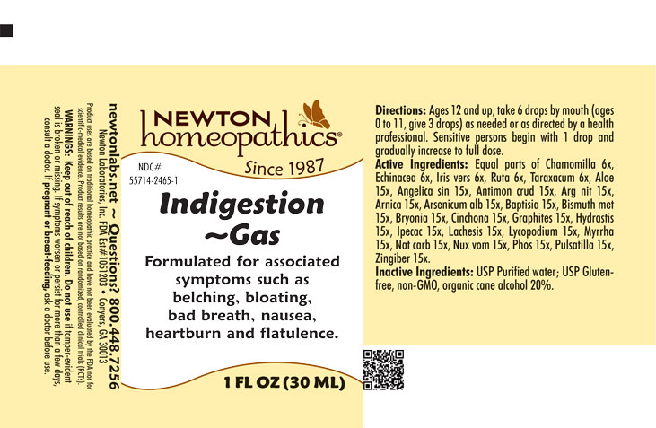 Pill image for Indigestion 2465l