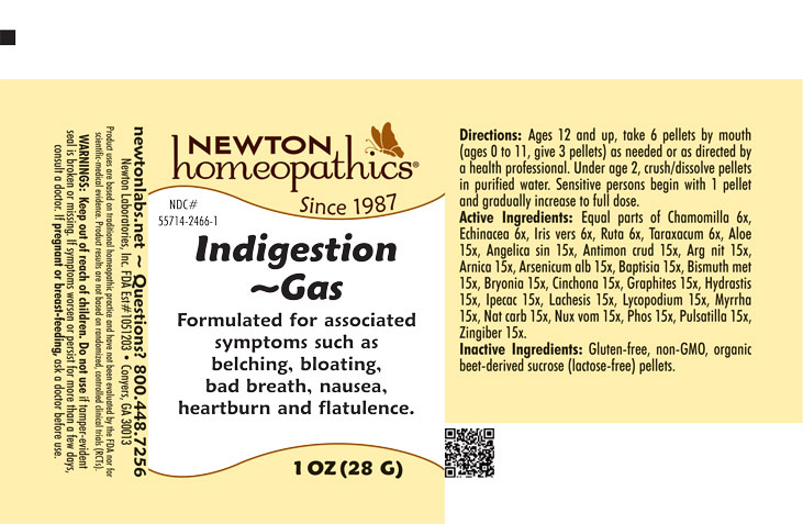 Pill image for Indigestion 2466p