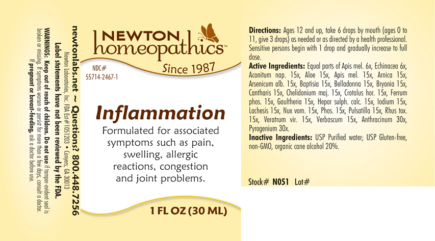 Pill image for Inflammation 2467l