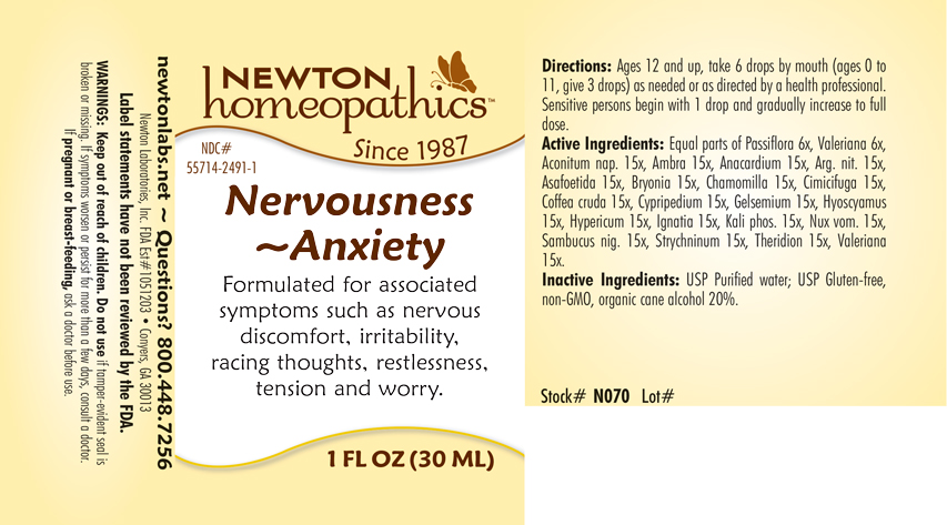 Pill image for Nervousness 2491l