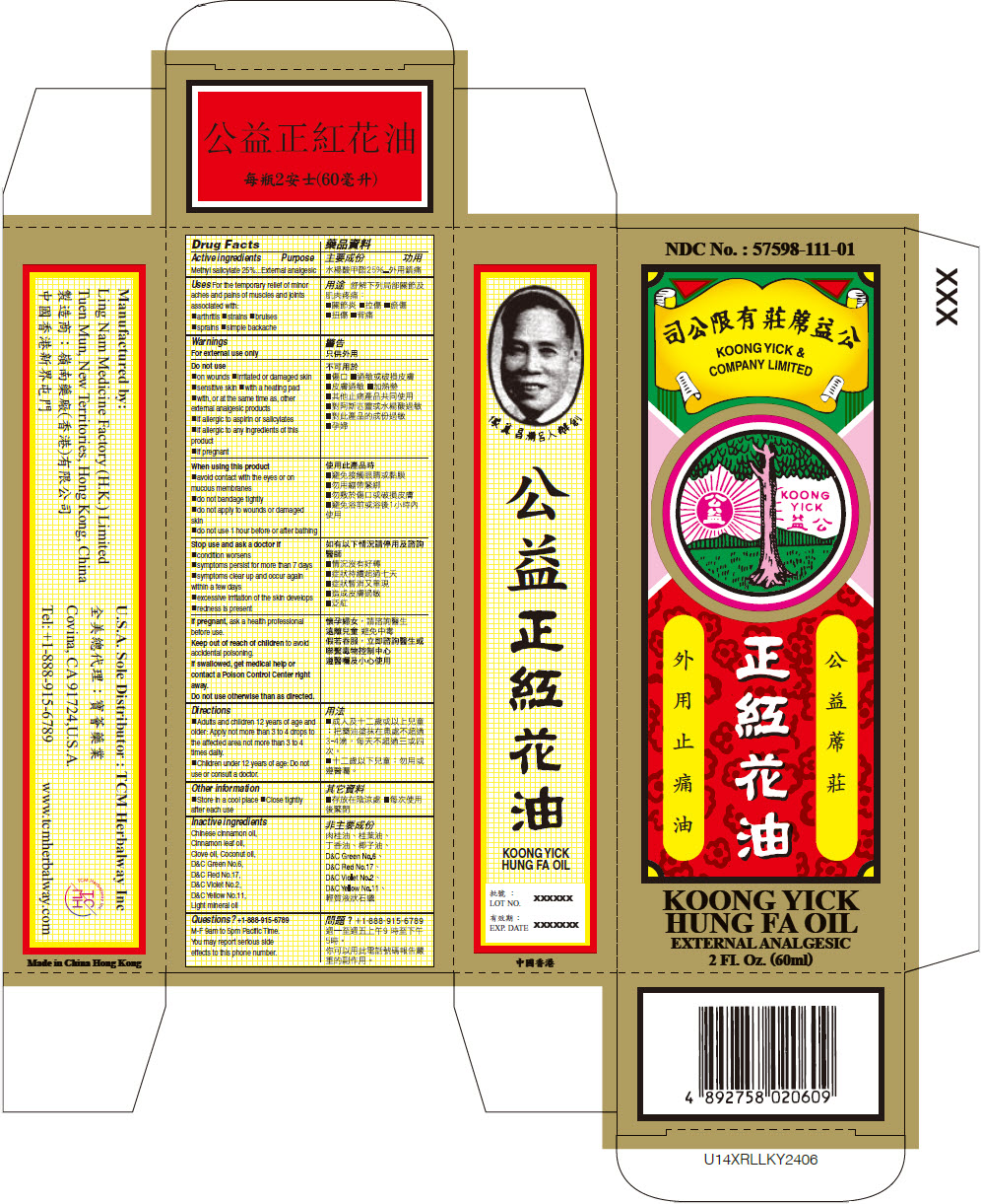 Pill image for Koong Yick Hung Fa Oil