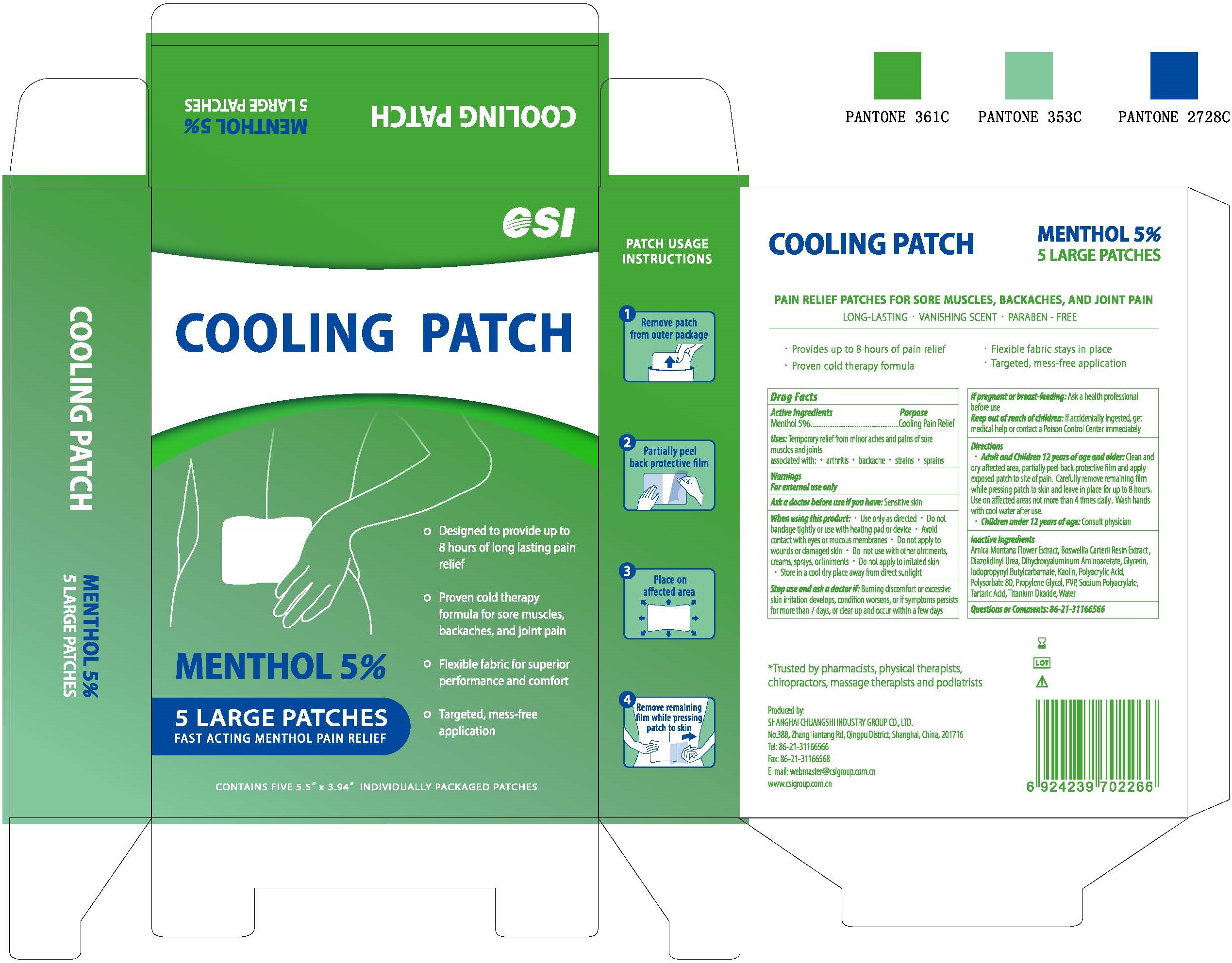 Pill image for Csi Cooling Patch, 5 Large Patches