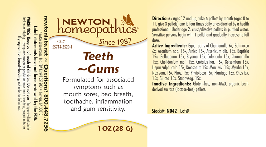 Pill image for Teeth 2529p