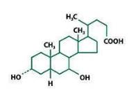 Pill image for These Highlights Do Not Include All The Information Needed To Use Ursodiol Tablets Safely And Effectively. See Full Prescribing Information For Ursodiol Tablets.