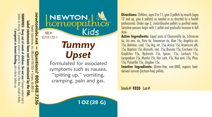 Pill image for Tummy 1731p