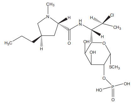Pill image for These Highlights Do Not Include All The Information Needed To Use Clindamycin Phosphate Foam Safely And Effectively. See Full Prescribing Information For Clindamycin Phosphate Foam.