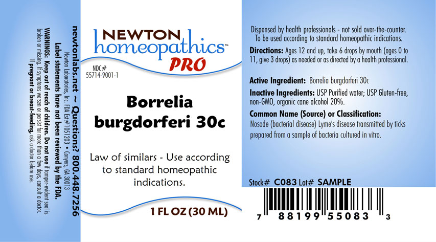 Pill image for Borrelia 9001l