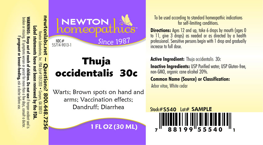 Pill image for Thuja 9013l
