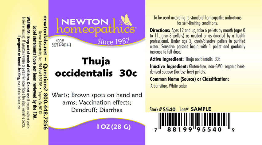 Pill image for Thuja 9014p