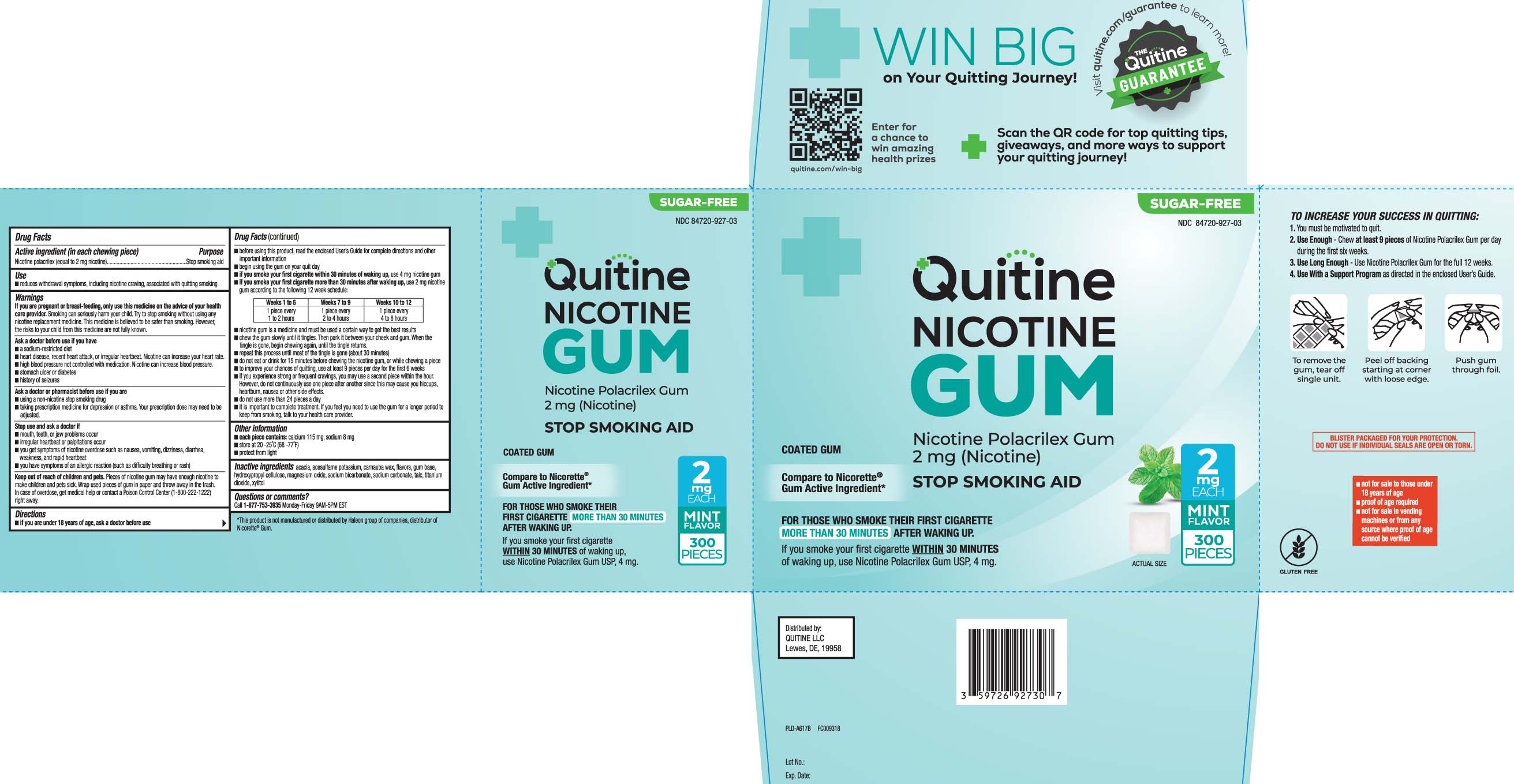 Pill image for Nicotine Polacrilex Gum mint 2 Mg And 4 Mg - Walgreens