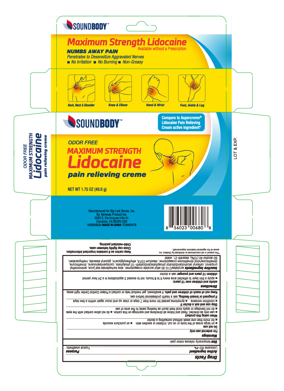Pill image for Soundybody Lidocaine Creme