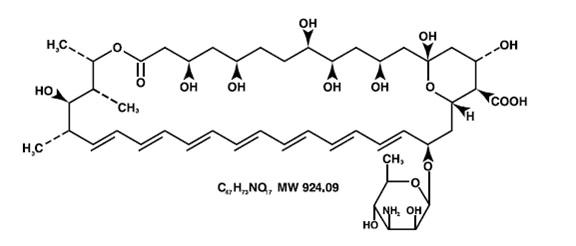 Pill image for Amphotericin B For Injection Usp