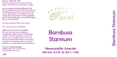 Pill image for Bambusa Stannum