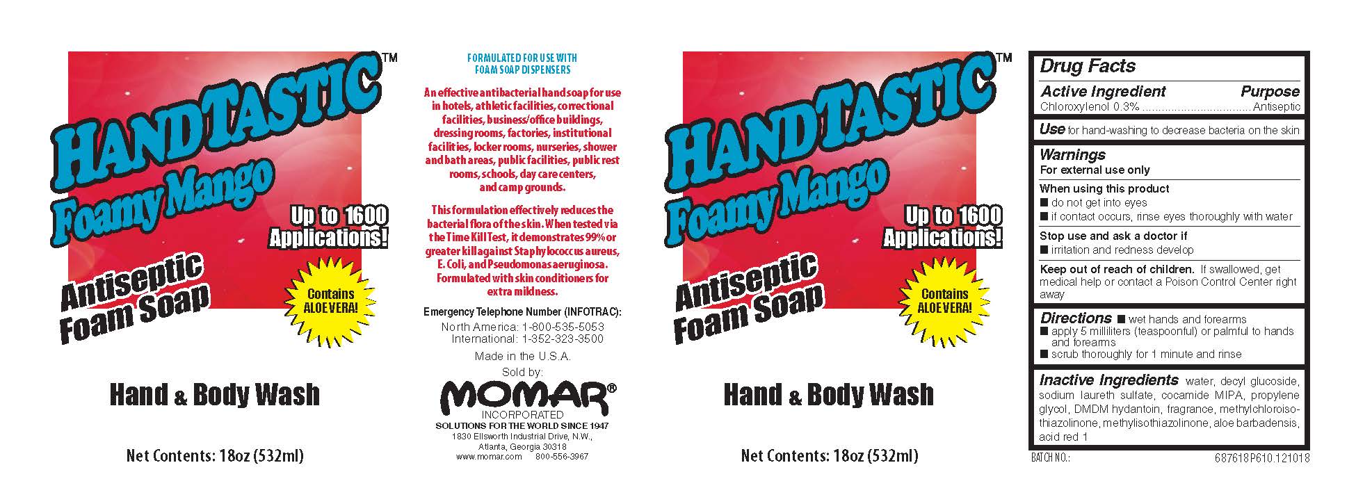 Pill image for Handtastic Foamy Mango Antiseptic Hand And Body Wash 6876 Drug Facts And Label