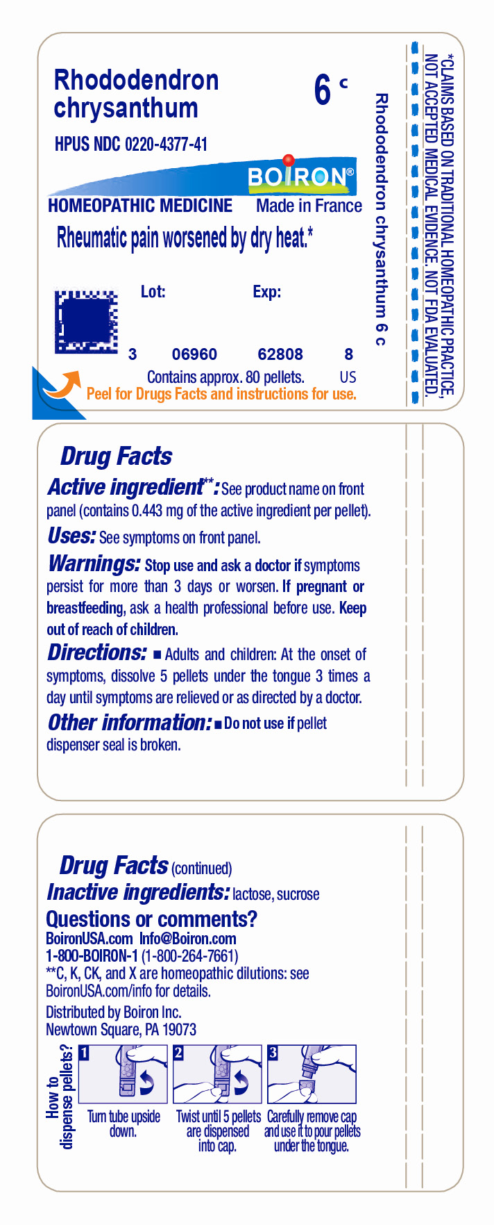 Pill image for rhododendron chrysanthum 6c