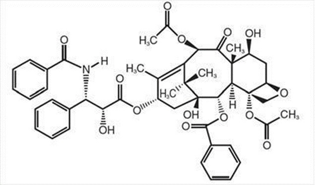 Pill image for Paclitaxel Injection, Usp
