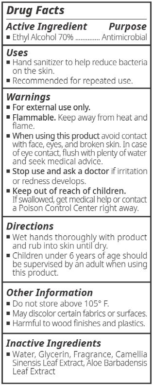 Pill image for Ch Harmony Co., Ltd. - Chobs-ready To Hand Sanitizer