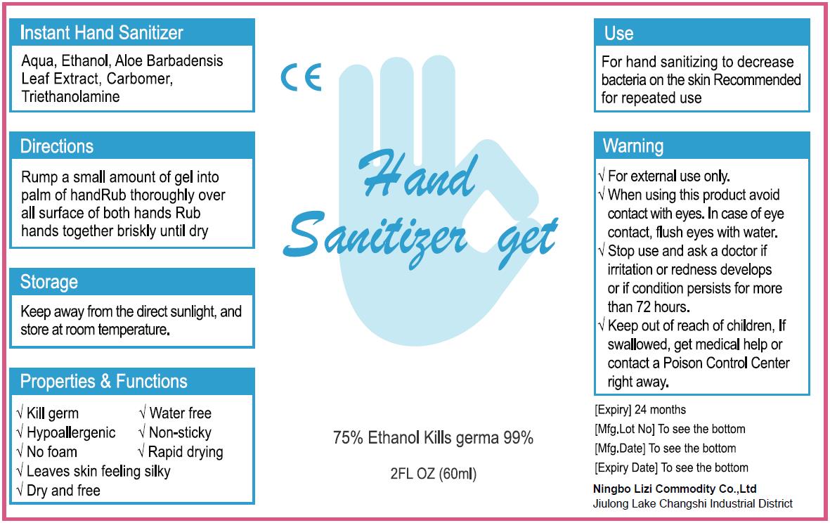 Pill image for lizi, hand sanitizer, gel, 75% ethanol, 60ml