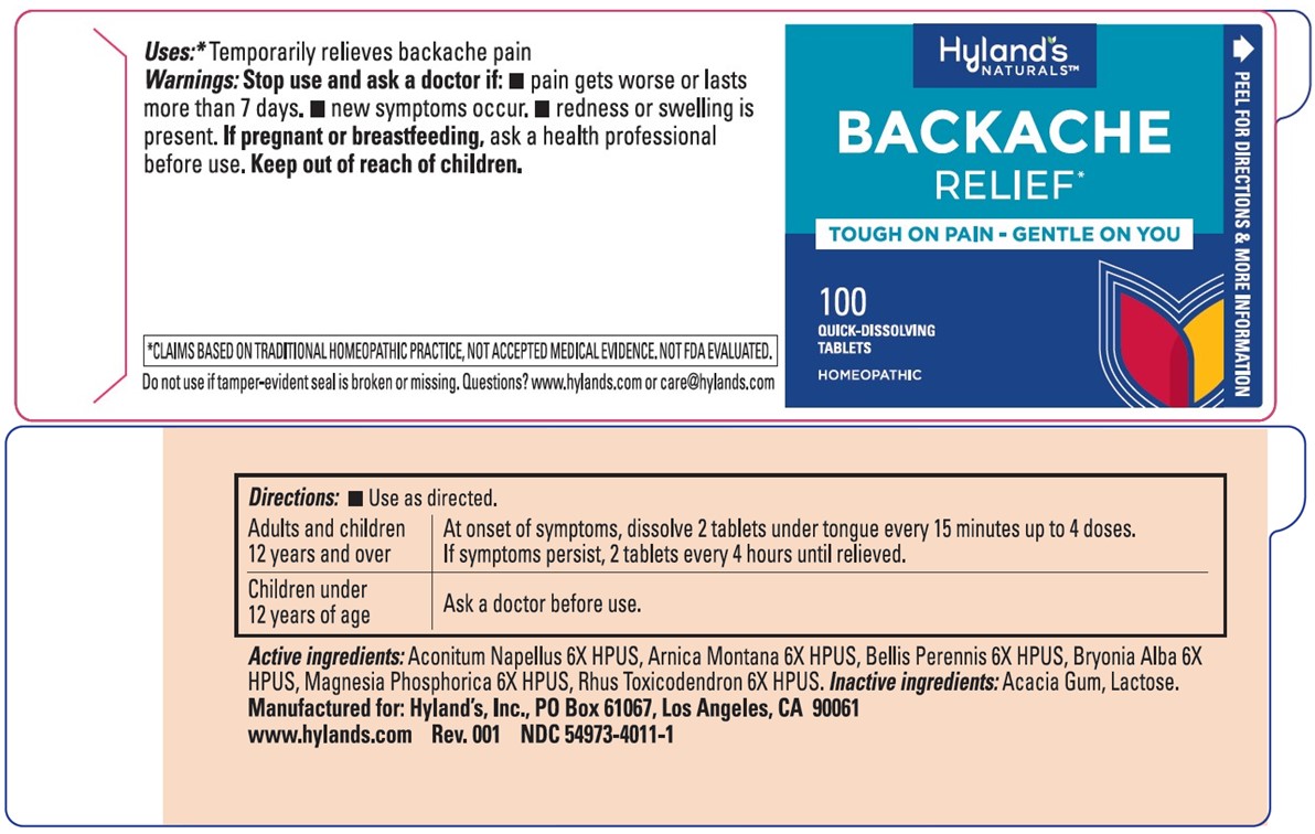 Pill image for Hyland's Naturals Backache Relief