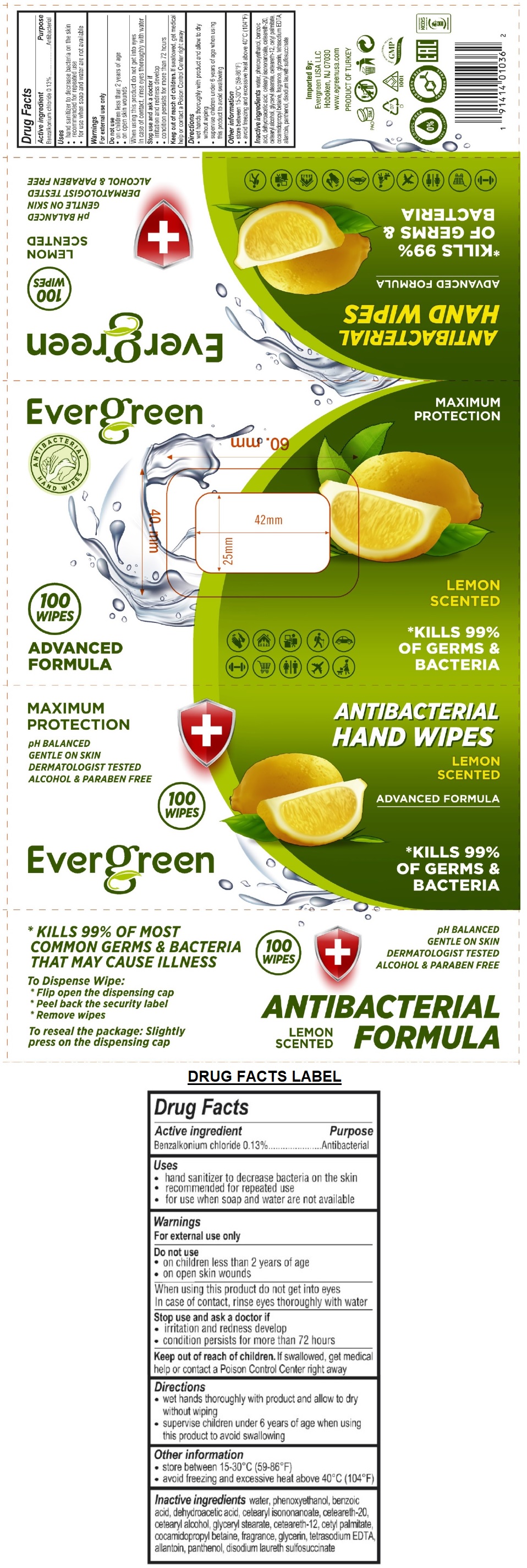 Pill image for Evergreen Antibacterial Hand Wipes