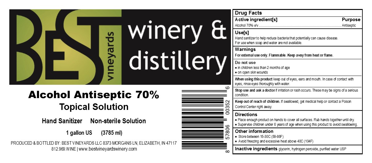 Pill image for 70% Alcohol Sanitifre Label