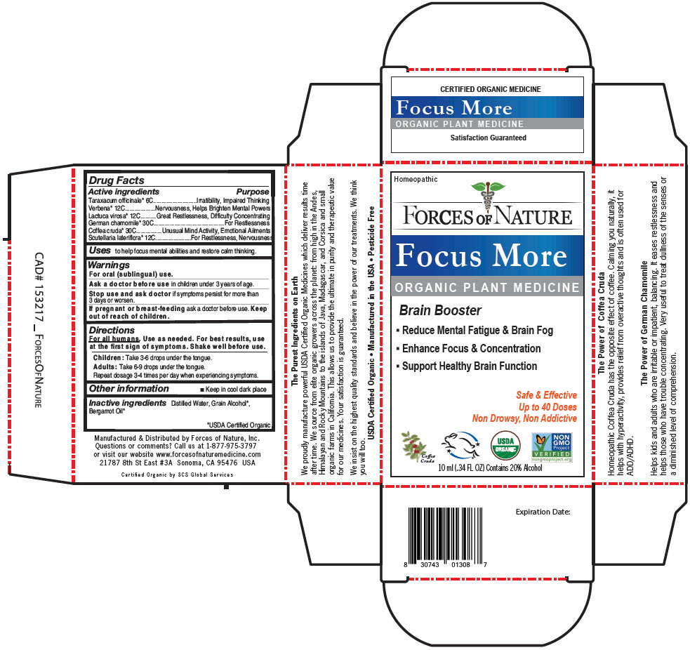 Pill image for More Focus