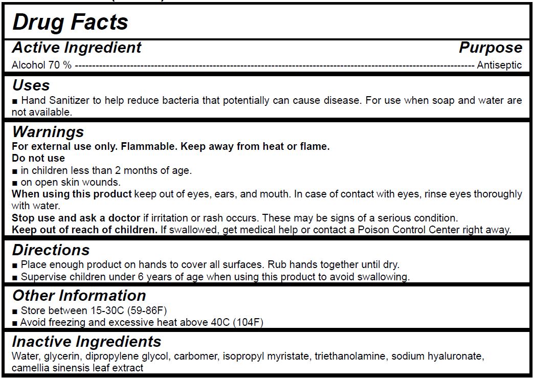 Pill image for The Fab Korea Co., Ltd. - Purus Hand Sanitizer Gel 500ml