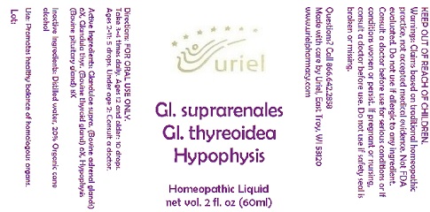 Pill image for Gl. Suprarenales Gl. Thyreoidea Hypophysis