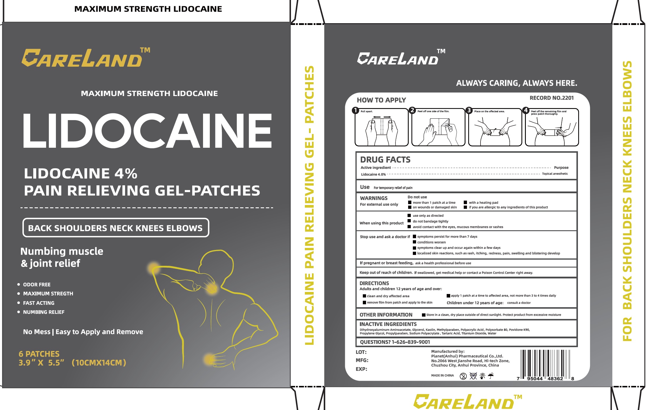 Pill image for Careland Lidocaine 4% Pain Relieving Gel-patches