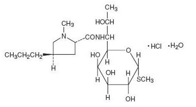 Pill image for Lincomycin