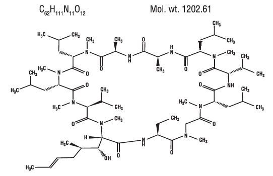 Pill image for Cyclosporine Capsules, Usp
