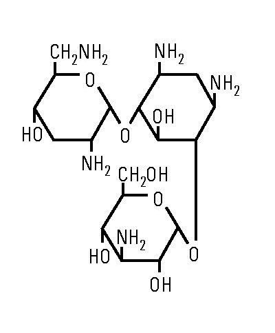 Pill image for Tobramycin