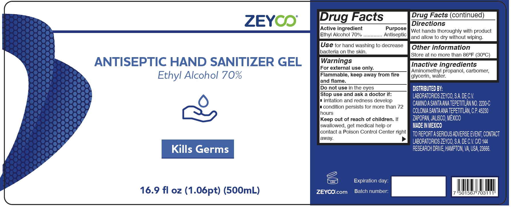Pill image for Zeyco Hand Sanitizer Gel