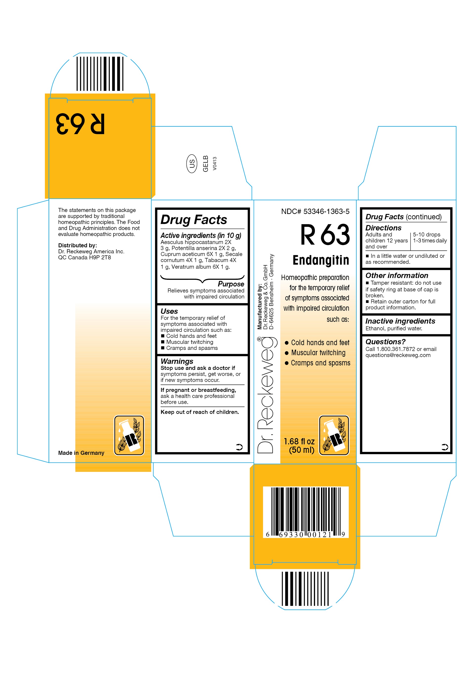 Pill image for Dr. Reckeweg R63 Endangitin