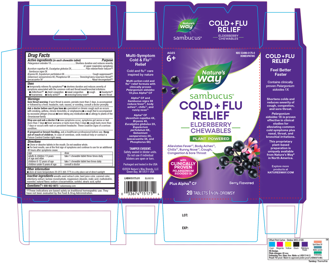 Pill image for Sambucus Cold Flu Relief Elderberry Chewable Tablet