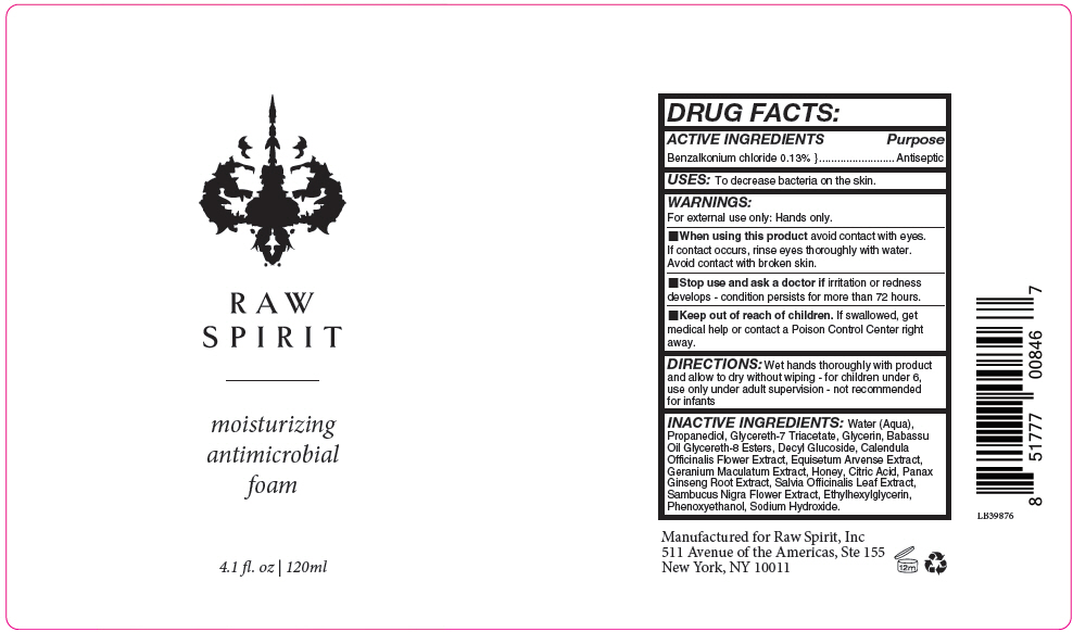 Pill image for Raw Spirit - Moisturizing Hand Sanitizer Foam
