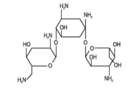 Pill image for Tobramycin Injection, Usp