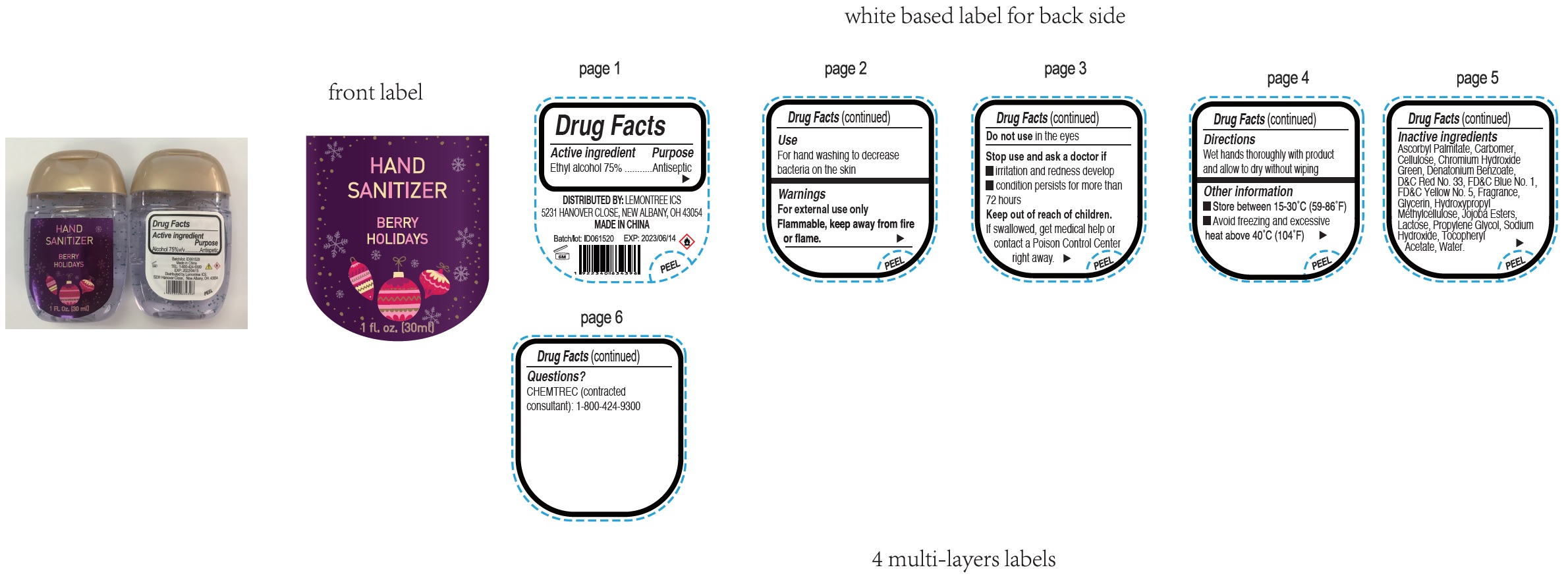 Pill image for hand sanitizer, berry holidays